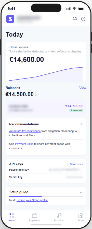 Sarah Lindholm Stripe payout — $14,500 deposited