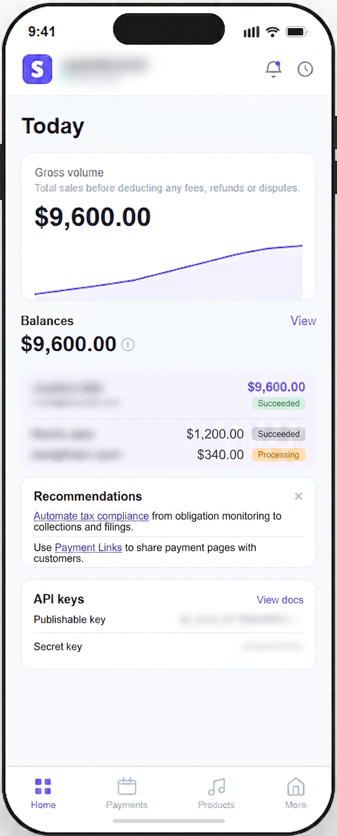 Tyler Brooks Stripe payout — $9,600 deposited